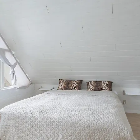 Four-bedroom With A Fireplace In * Romo